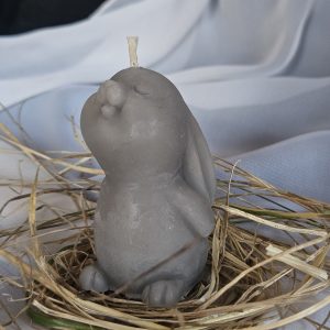 zaķis ar pieglaustām ausīm