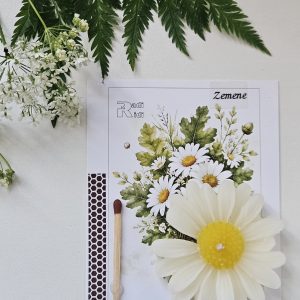 svece margrietiņa ar sērkociņu